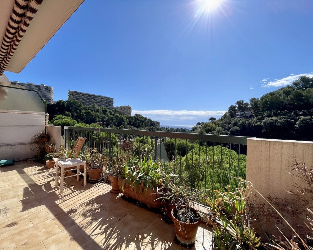 Nice Madonette - Studio Top Floor Terrace in Residence with Swimming Pool 