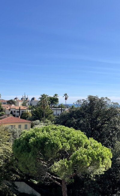 Nice CIMIEZ apartment for sale
