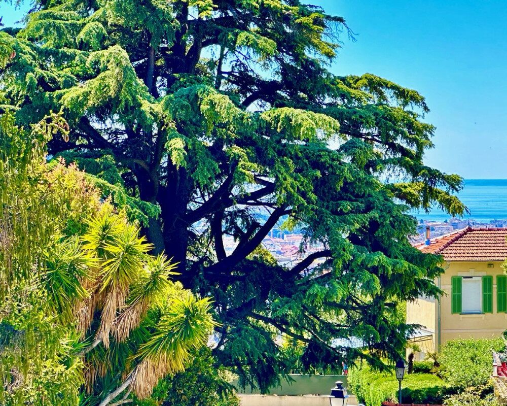 House  - Semi-detached house  - 7 rooms  - 137.0 mÂ² -  â¬849,000 - Sold 
