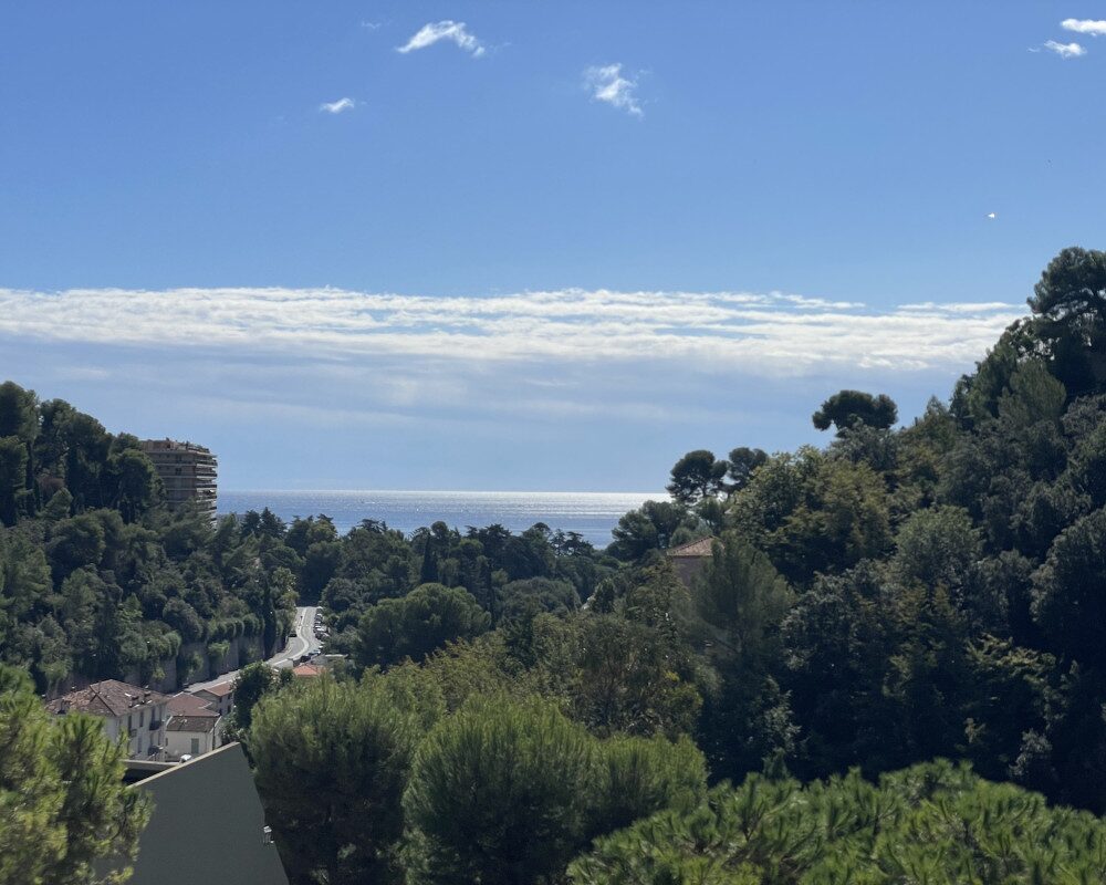 Nice Madonette - Studio Top Floor Terrace in Residence with Swimming Pool 