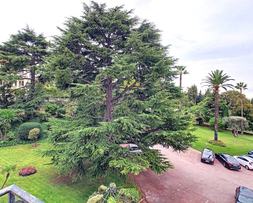Stanzetta di 14,37 mÂ² nell'annesso di un superbo palazzo nel cuore di Cimiez                   