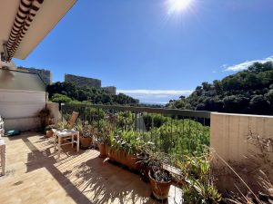 Nice Madonette – F1 dernier étage terrasse dans résidence avec piscine